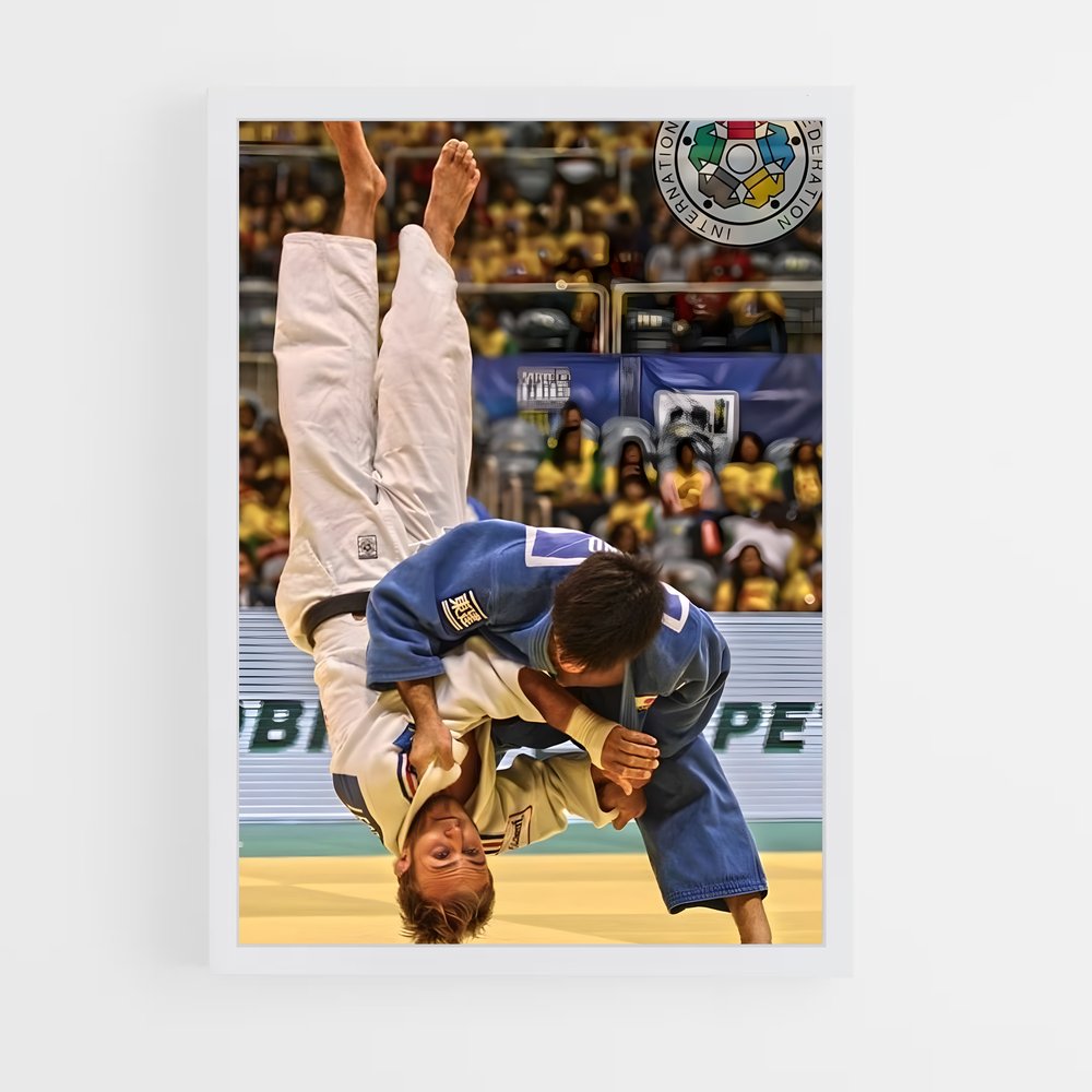 Poster Maître du Judo (vue 3)